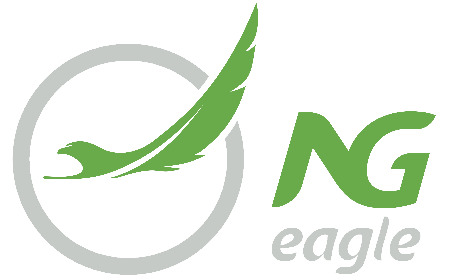 NG Eagle